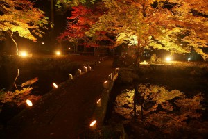 北畠神社ライトアップ　