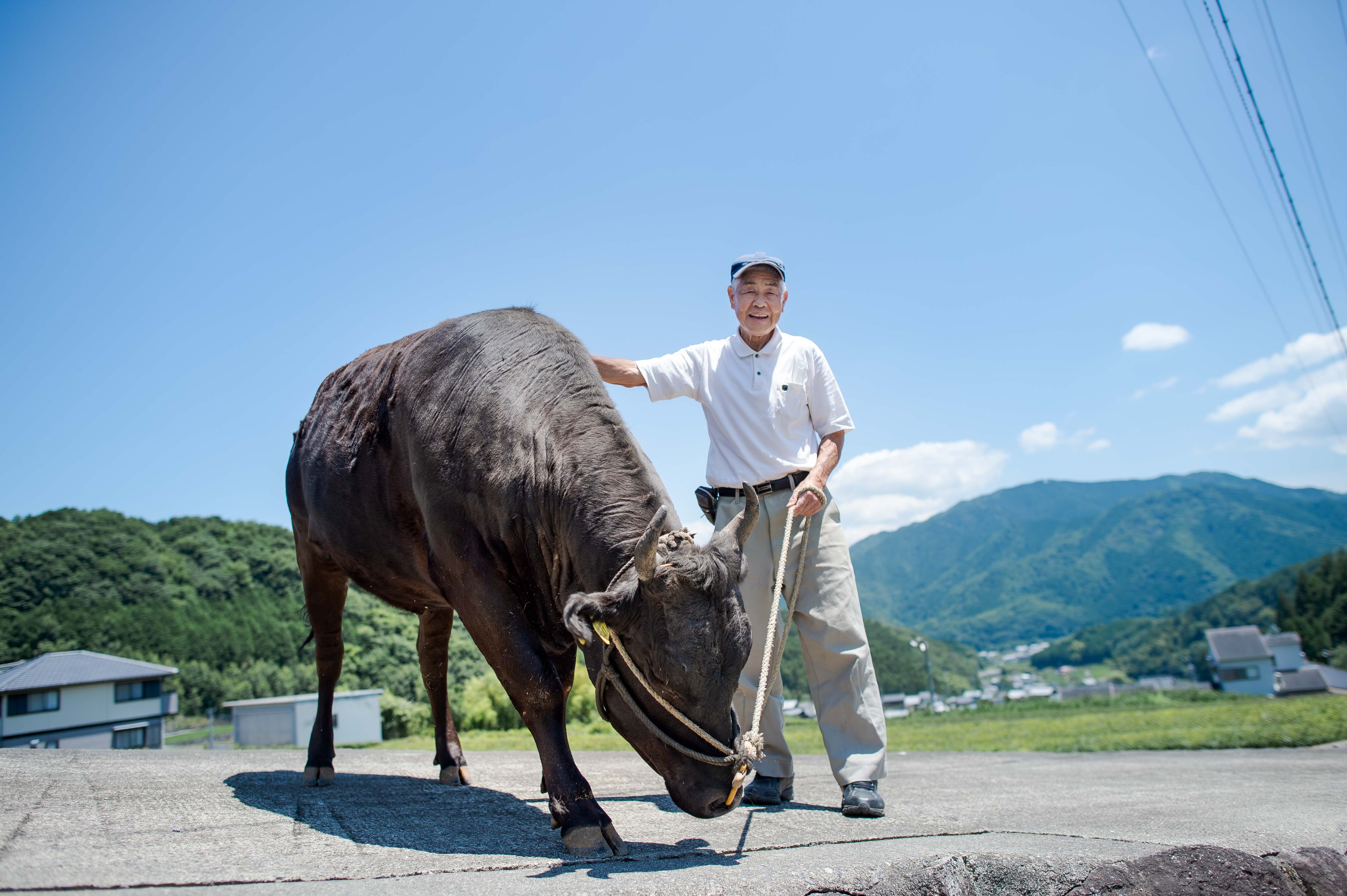 牛飼い人生71年。松阪牛の神様と呼ばれる88歳のレジェンドを訪ねた