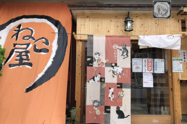 猫カフェねこ屋を応援しよう 三重県に暮らす 旅するwebマガジン Otonamie オトナミエ