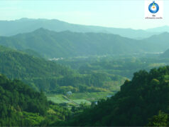 国史跡登録!!多気町・女鬼峠を守り続ける保存会の想いとは?熊野古道に込められた祈りと未来への継承について深掘りしてみた